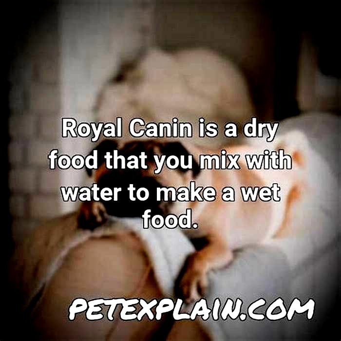 Should Royal Canin be mixed with water