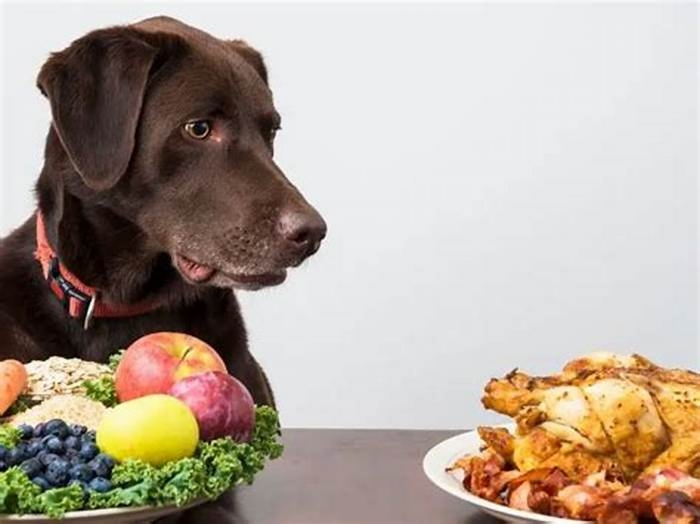 Should dogs eat more meat or veggies