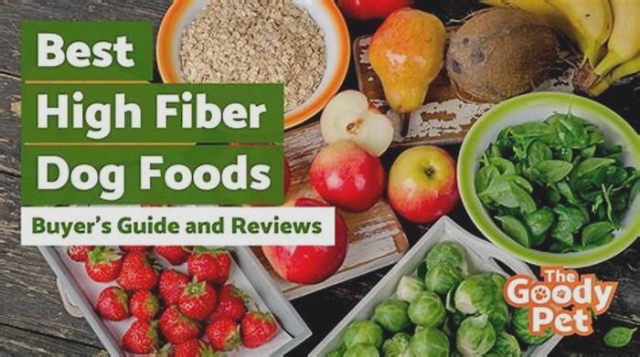 Should dogs have a high fiber diet?