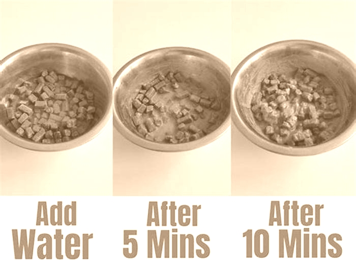 Should you add water to dry dog food for puppies