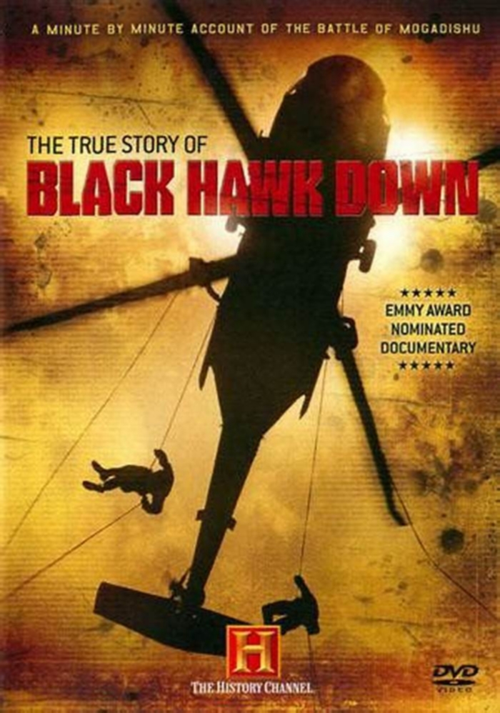 Was Black Hawk Down a success?