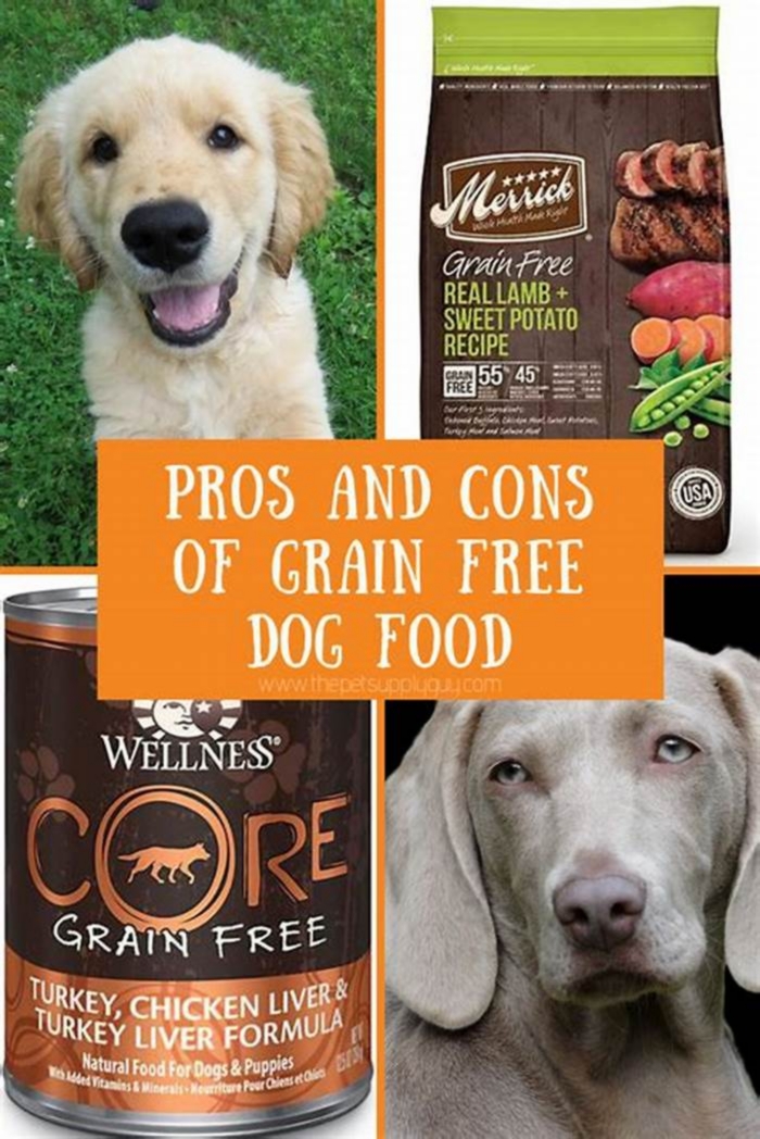 What are the disadvantages of grain free dog food?