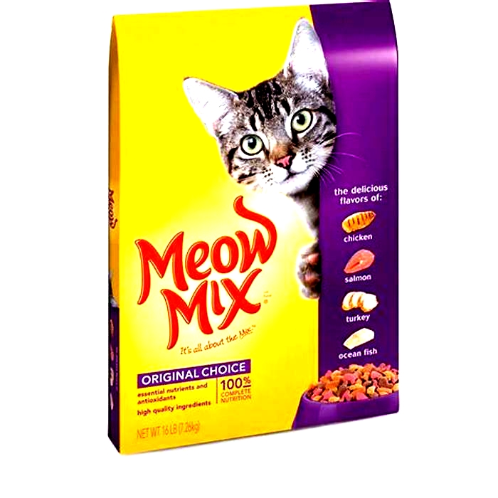 What brand of kitten food is best?