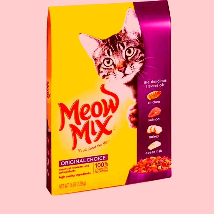 What brand of kitten food is the best?