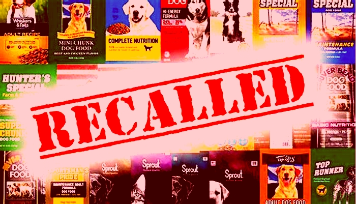 What brands of dog food did the FDA recall?