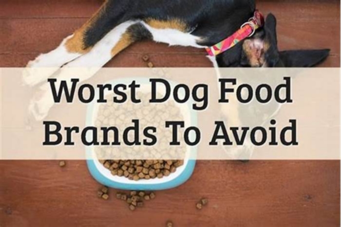 What brands of dog food should I avoid