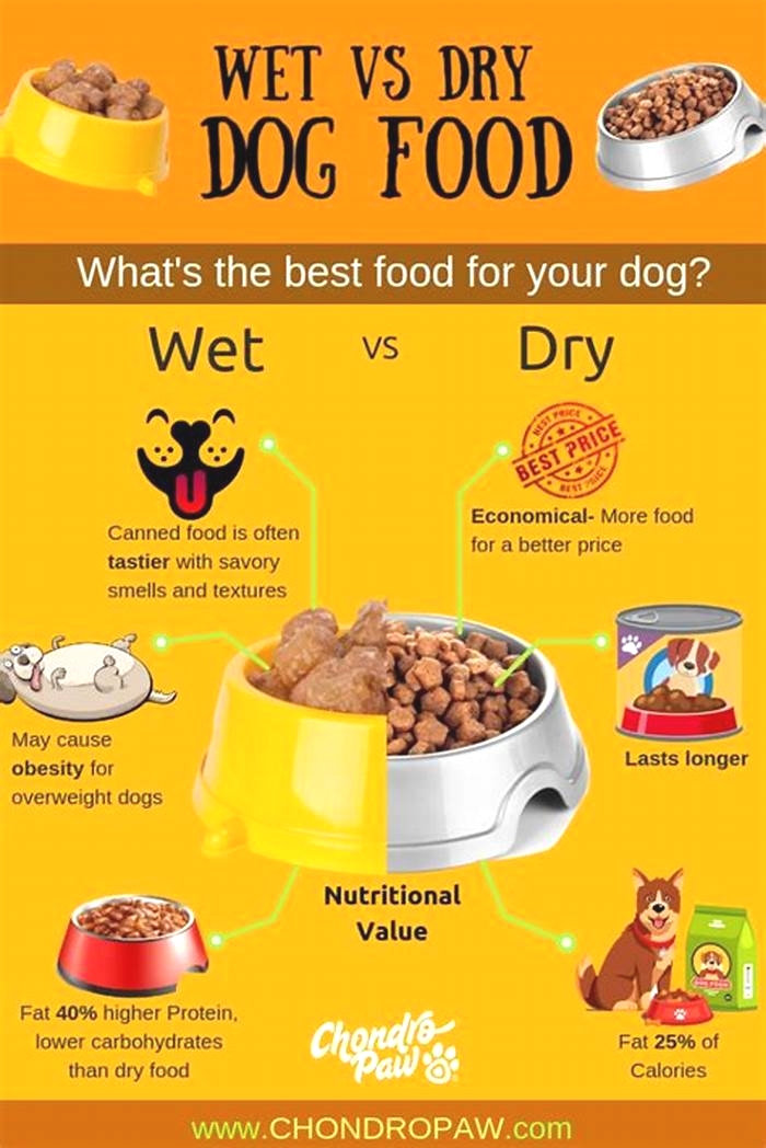 What food is better for puppies wet or dry