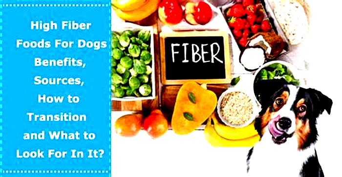 What foods are high in fiber for puppies