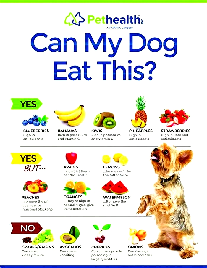 What fruit is not good for dogs