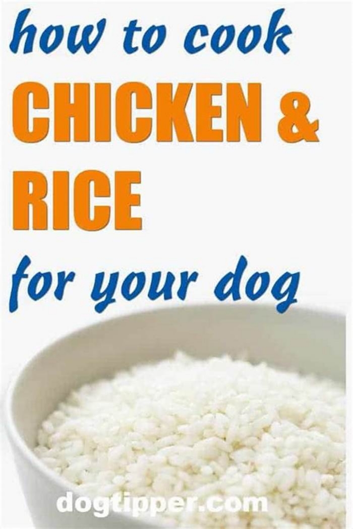 What is a good substitute for chicken and rice for dogs