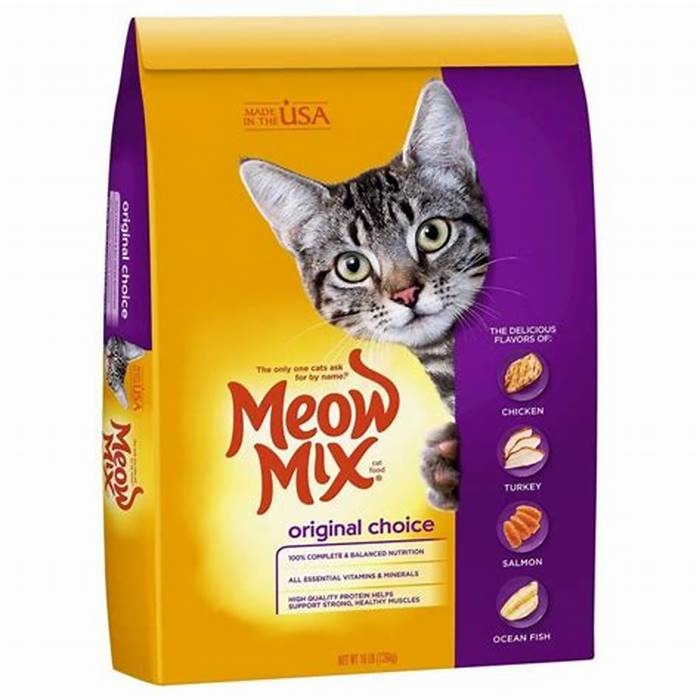 What is the best budget kitten food?