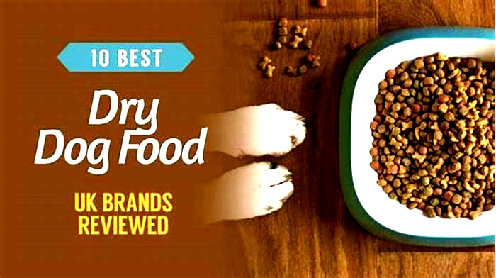 What is the best dry dog food in the UK