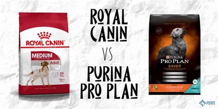 What is the difference between Royal Canin and Purina