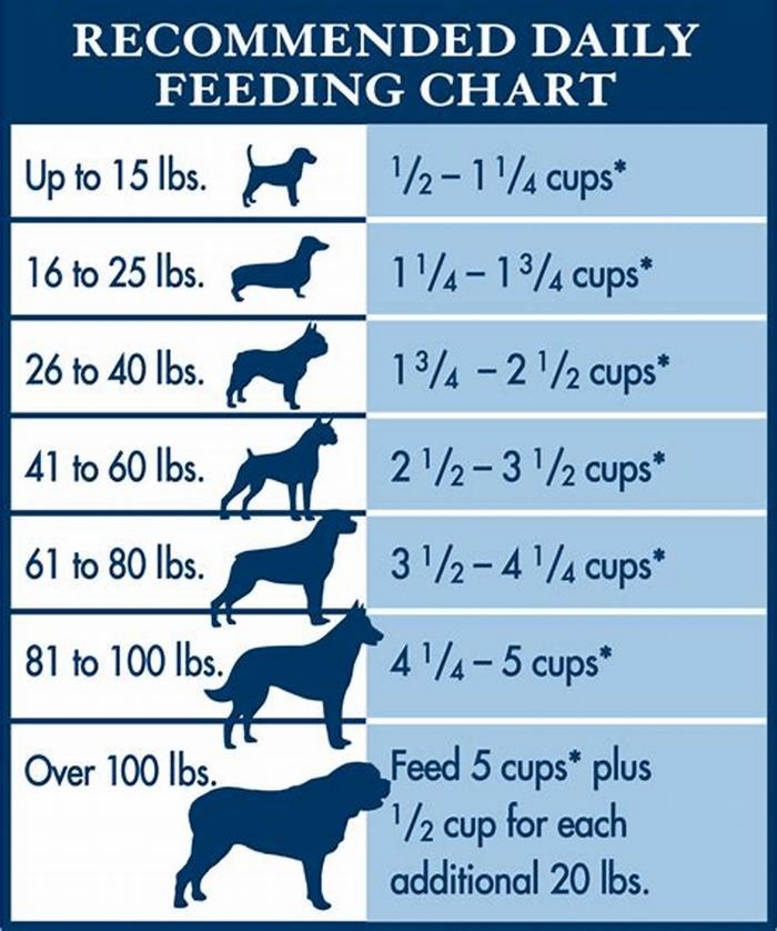 What is the difference between regular dog food and weight control dog food?