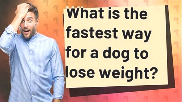 What is the fastest way for a dog to lose weight?