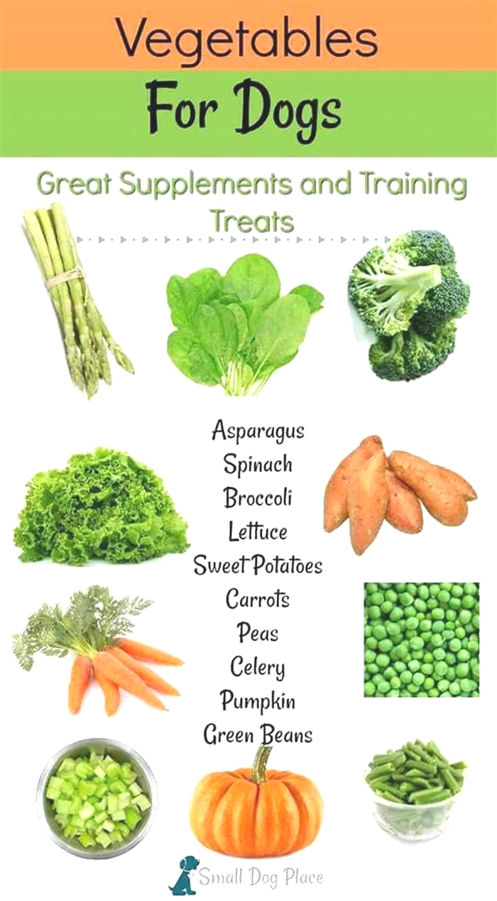 What is the healthiest vegetable for dogs