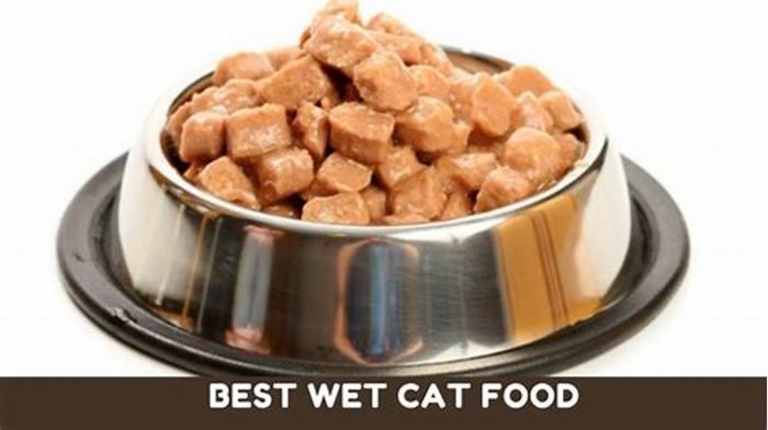 What is the healthiest wet food for kittens