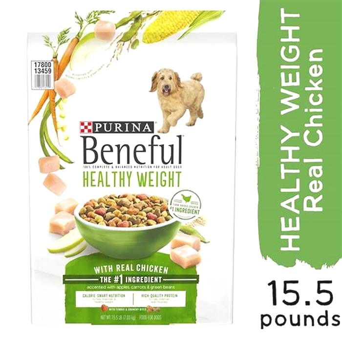 What is the number one healthiest dog food