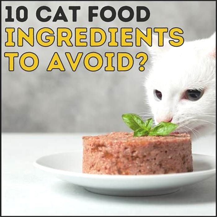 What to avoid in kitten wet food