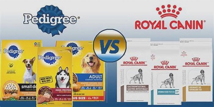 Which is best Royal Canin or pedigree