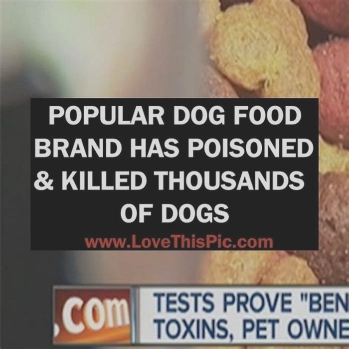 Which popular dog food brand has poisoned and killed thousands of dogs