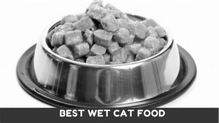 Which wet cat food is best?