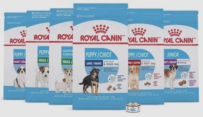 Who owns Royal Canin dog food?
