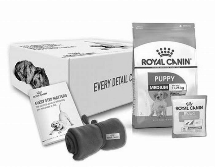 Why do breeders use Royal Canin?