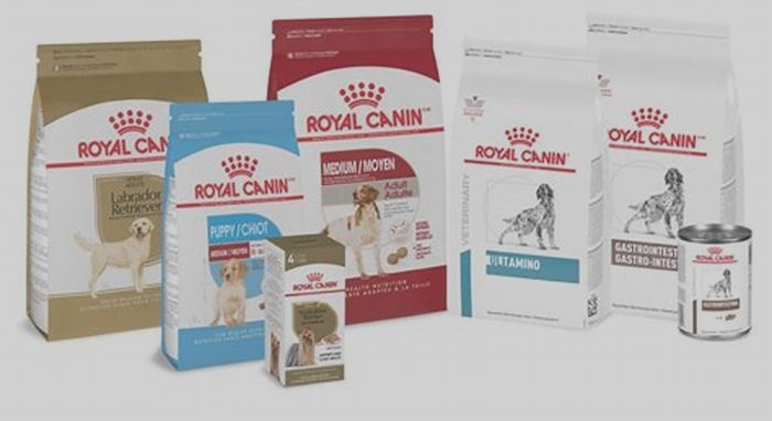 Why do vets recommend Royal Canin cat food?