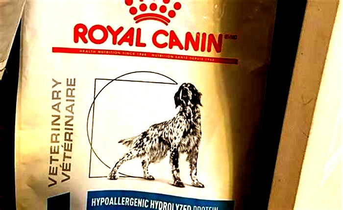 Why do vets support Royal Canin